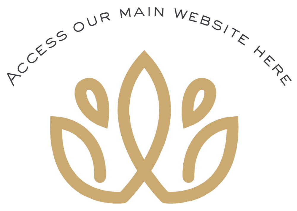 access our main website